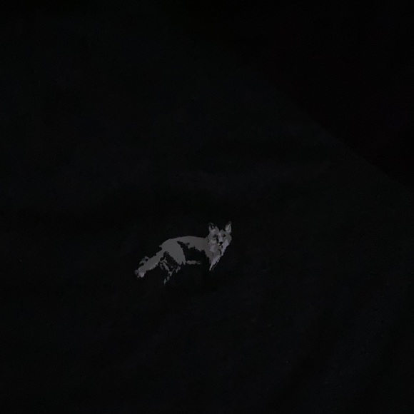 Lane Bryant Cacique Foxy pajamas - Picture 5 of 5